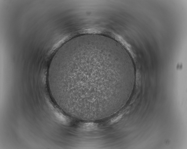 X0000090460153200707201341