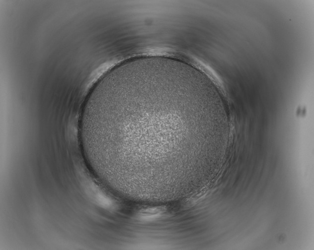 X0000090460155200707201341