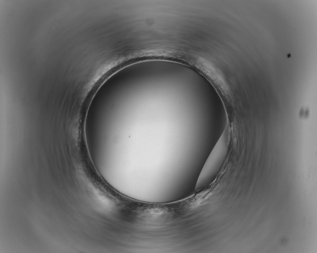 X0000090460156200707201341