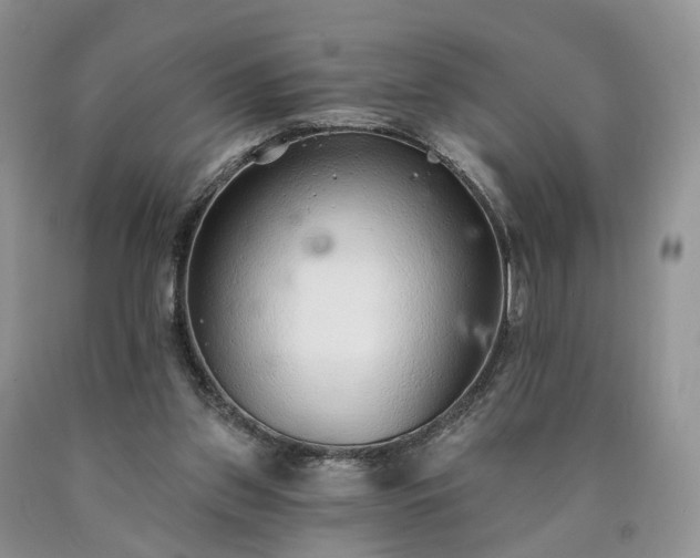 X0000090460157200707201341