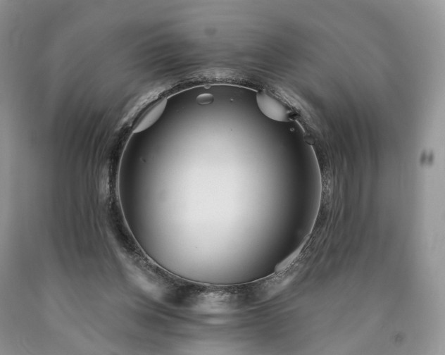 X0000090460158200707201341