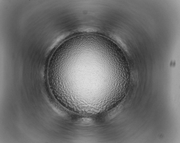 X0000090460159200707201341