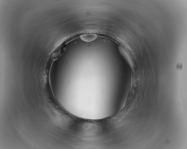 X0000090460160200707201341