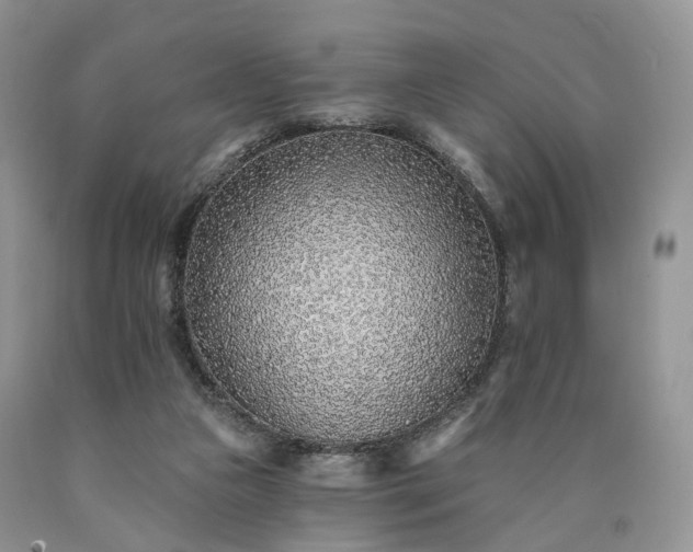 X0000090460161200707201341