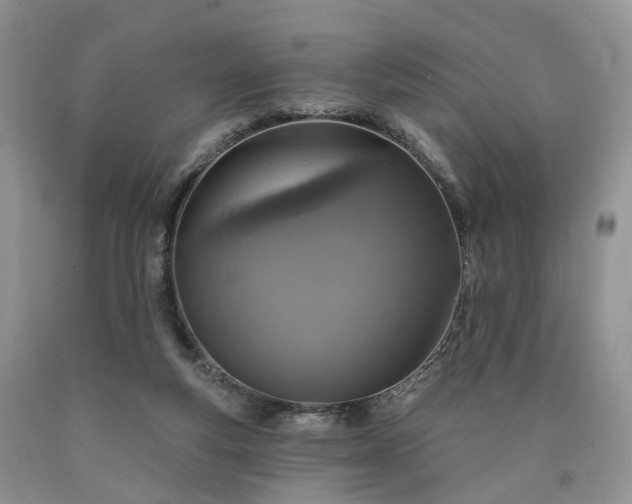 X0000090460163200707201341