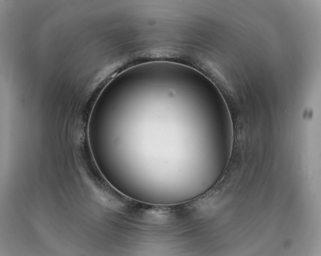 X0000090460164200707201341