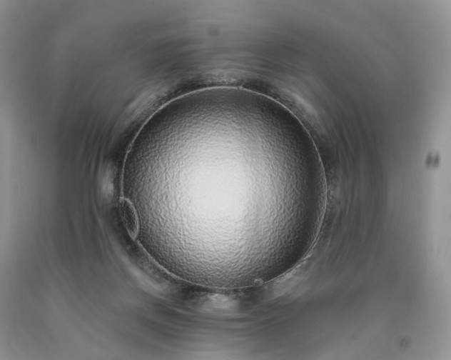 X0000090460166200707201341