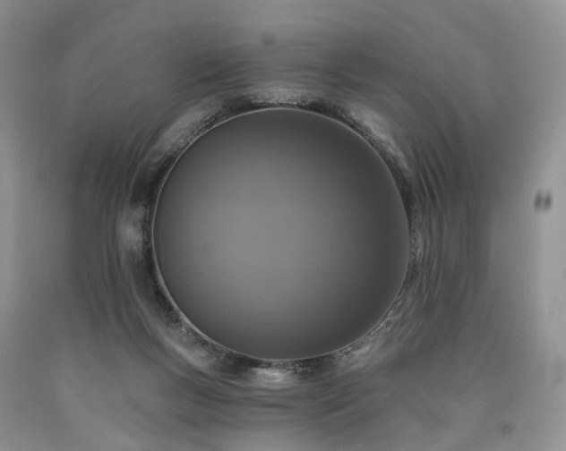 X0000090460167200707201341