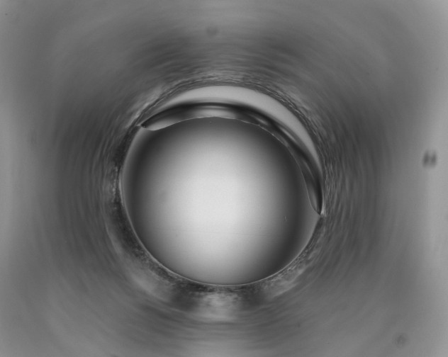 X0000090460168200707201341
