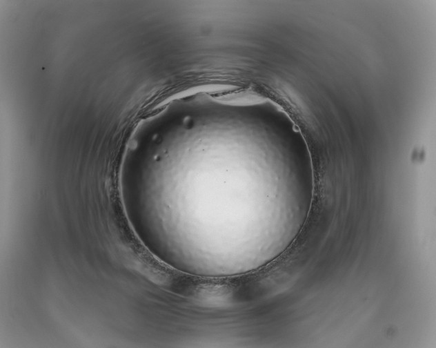 X0000090460169200707201341