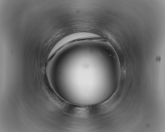 X0000090460170200707201341