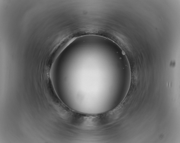 X0000090460172200707201341