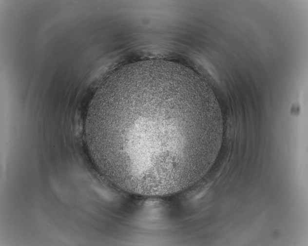 X0000090460173200707201341