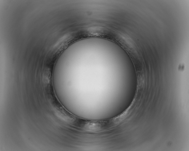 X0000090460174200707201341