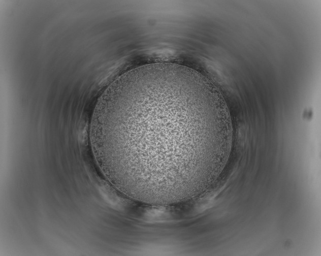 X0000090460177200707201341