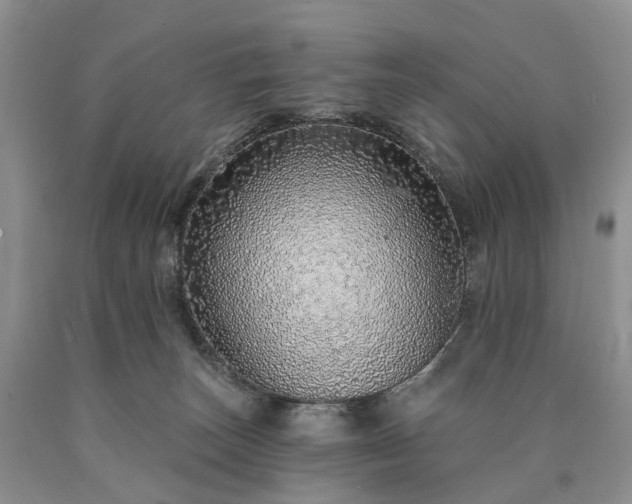 X0000090460179200707201341