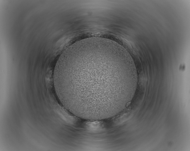X0000090460181200707201341