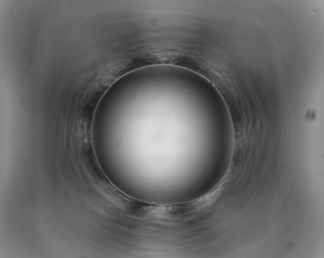X0000090460182200707201341