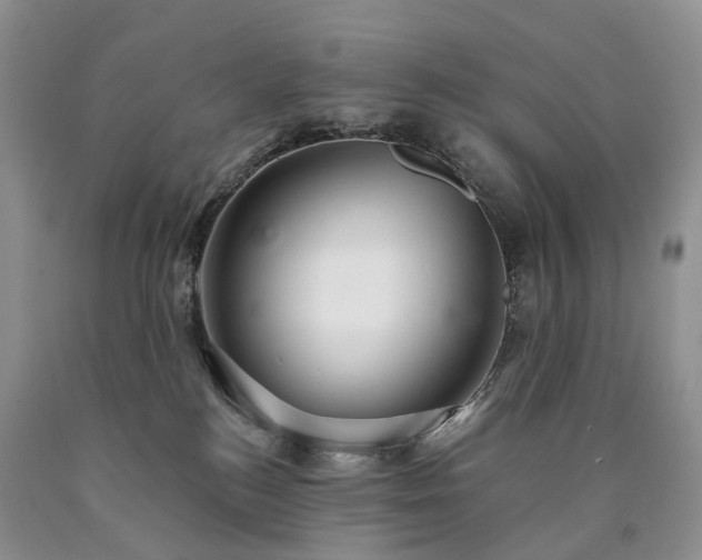X0000090460184200707201341