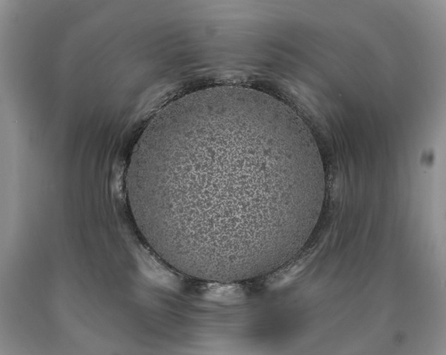 X0000090460185200707201341