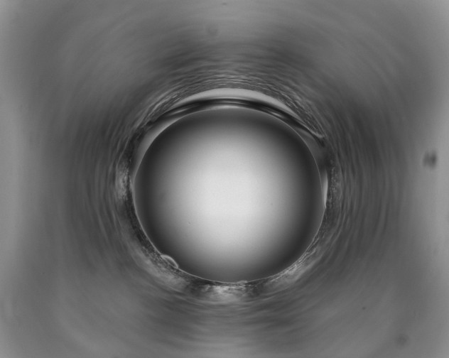 X0000090460188200707201341