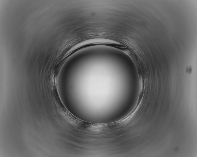 X0000090460190200707201341