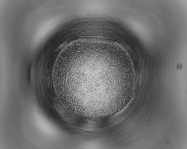 X0000090460191200707201341