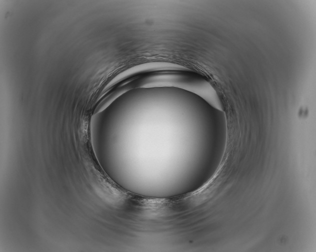 X0000090460192200707201341