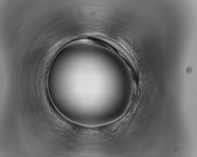 X0000090460193200707201341