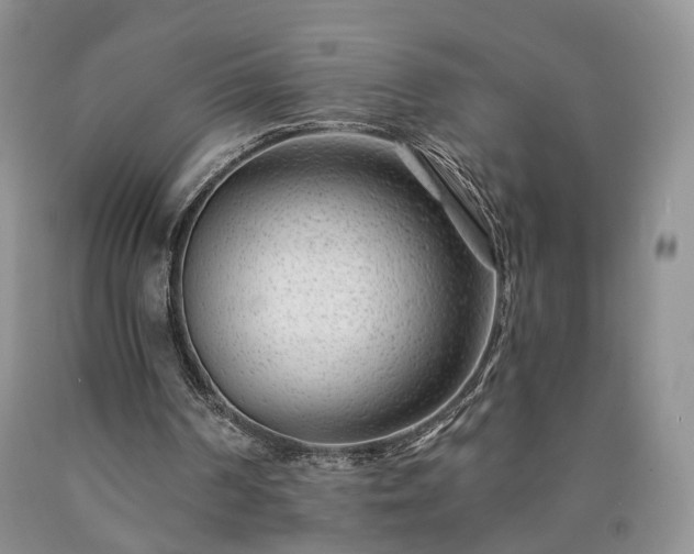 X0000090460194200707201341