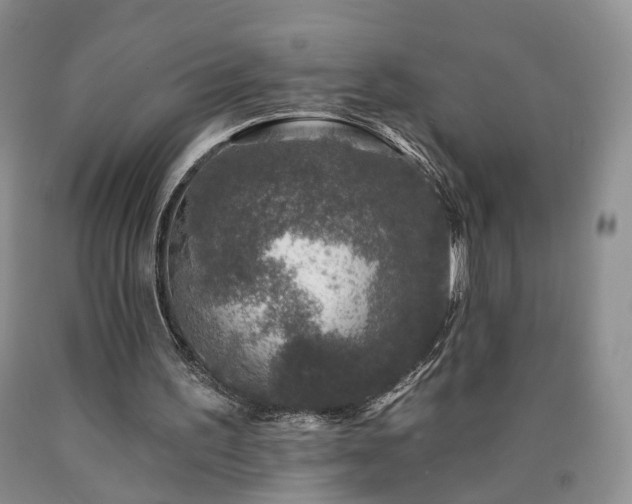 X0000090460195200707201341