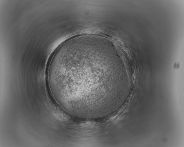 X0000090460196200707201341