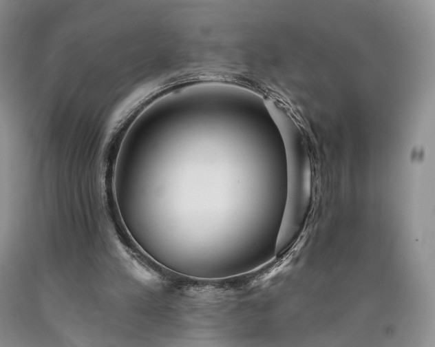 X0000090460197200707201341