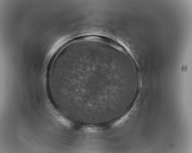 X0000090460199200707201341