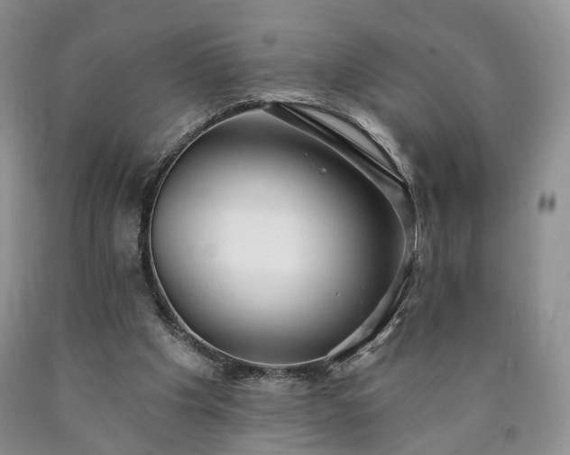 X0000090460201200707201341