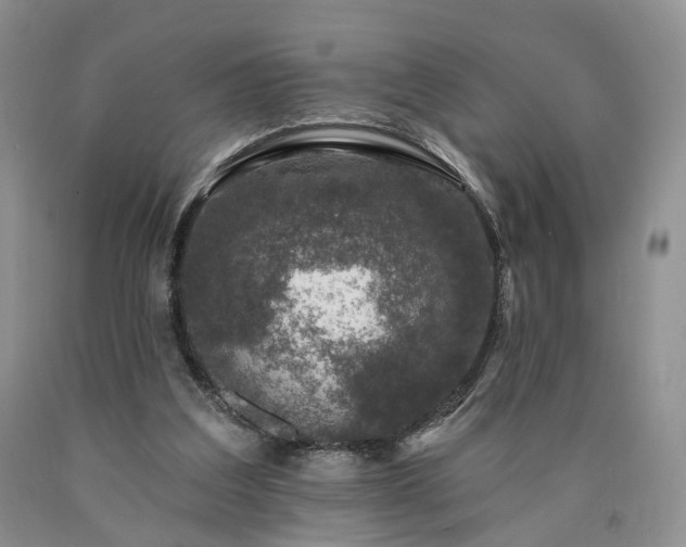 X0000090460203200707201341