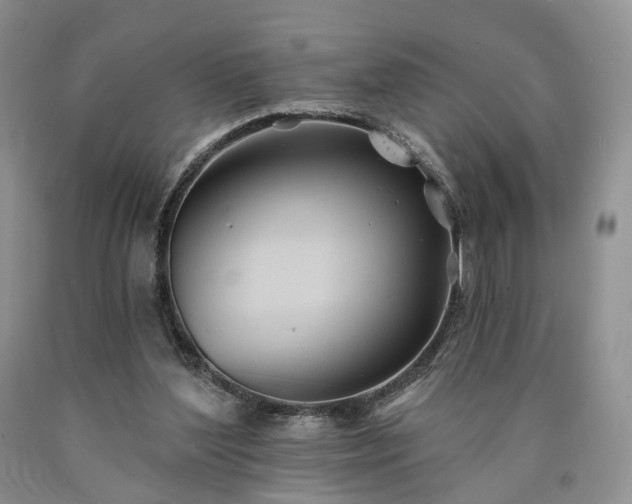 X0000090460204200707201341