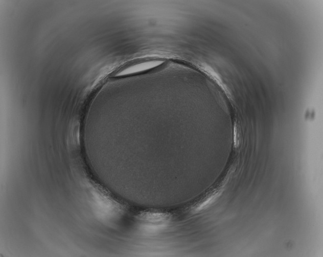 X0000090460205200707201341