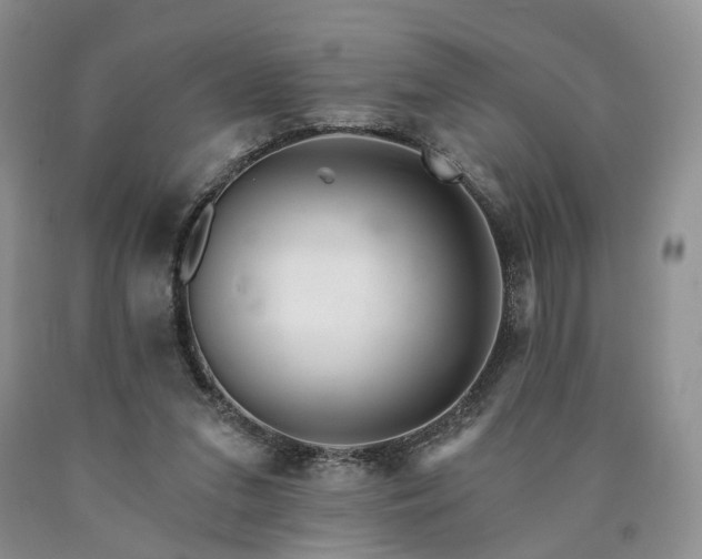 X0000090460207200707201340