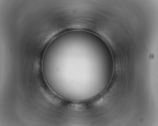 X0000090460208200707201340