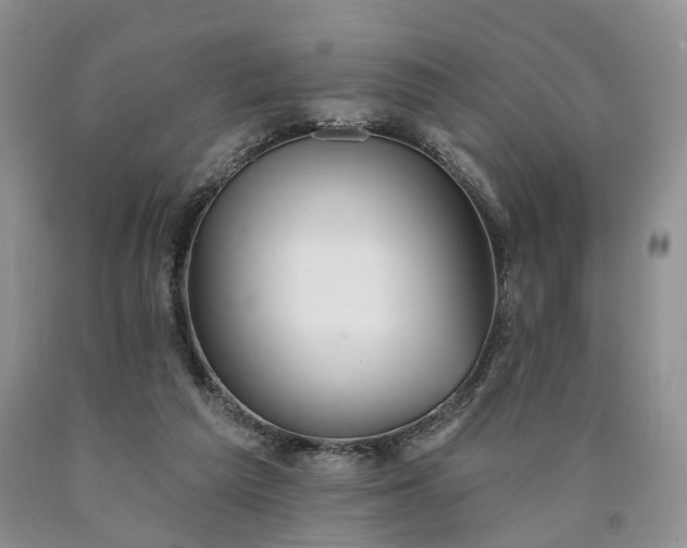 X0000090460209200707201340