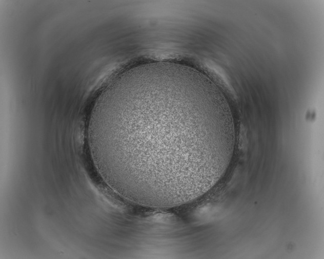 X0000090460210200707201340