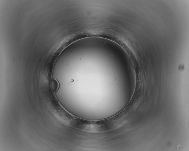 X0000090460212200707201340