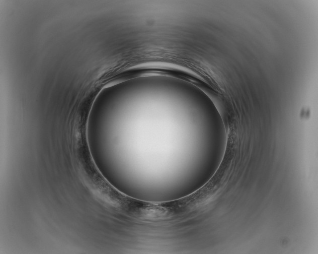 X0000090460215200707201340