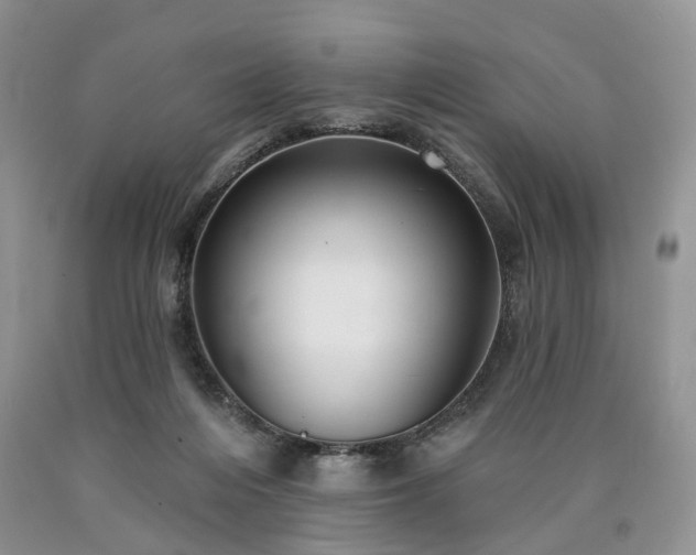 X0000090460216200707201340