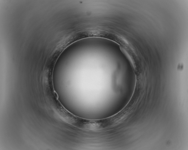 X0000090460217200707201340