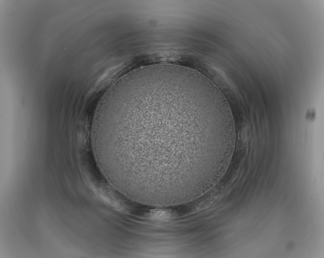 X0000090460218200707201340