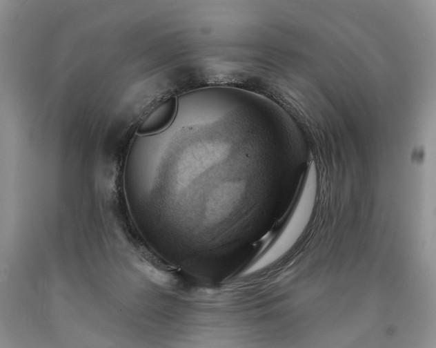 X0000090460219200707201340