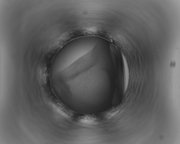 X0000090460223200707201340