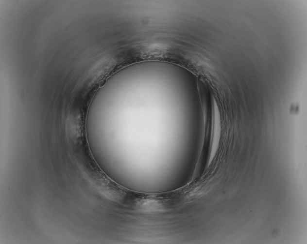 X0000090460224200707201340